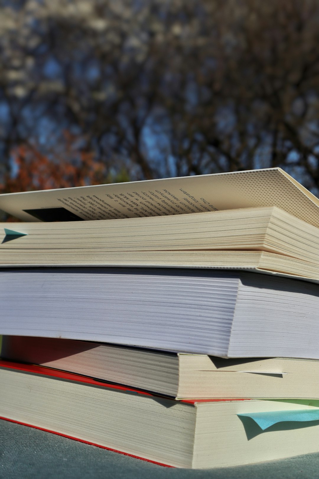 Globe Bookstore & Café